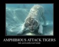 /album/demotivatoriai/amphibious-attack-tiger-jpg/